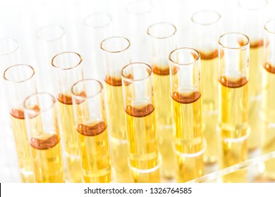 testing tubes filled with liquids