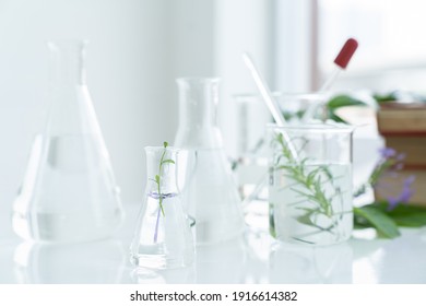 Tests Of Plants In Laboratory. Glasswares In Classroom Or Laboratory. Science And Education. Scientific Experiment, Researcher, Research Concept