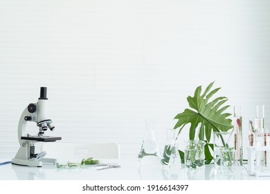 Tests Of Plants In Laboratory. Glasswares And Microscope In Classroom Or Laboratory. Science And Education. Scientific Experiment, Researcher, Research Concept