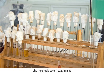 test-tube with plant material in laboratory - Shutterstock ID 102358339