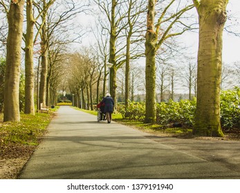 TETERINGEN-NORTHERN BRABANT - NETHERLANDS - MARCH 26, 2017: Older Couple Walking In Spring Alley, Rear View