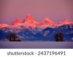 Teton Mountain range Idaho side sunset Alpen glow pink and orange in winter snow and trees