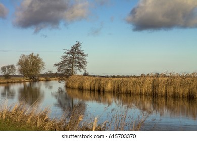 Teufelsmoor Near Bremen (Germany)