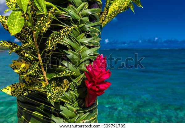 Teuila Red Flower Used Wedding Decoration Stock Photo Edit Now