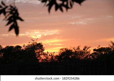 Texas Autumn Backyard BBQ Sunset.