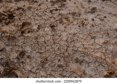 Texas Drought Shows Dry Ground With Cracks In Dirt.