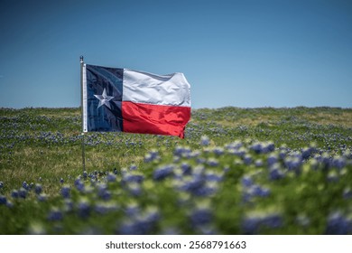 Texas Flag Blowing In The Wind In Blurred Rural Field of Bluebonnet Flowers With Blue Sky