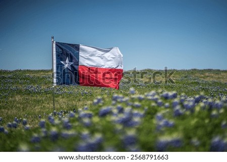 Texas Flag Blowing In The Wind In Blurred Rural Field of Bluebonnet Flowers With Blue Sky