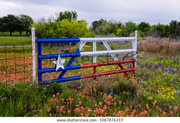 Texas Flag Gate in a field of Paintbrush, Bluebonnets\
and Yellow flowers. 