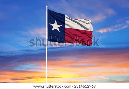  Texas flag on flagpoles and blue sky
