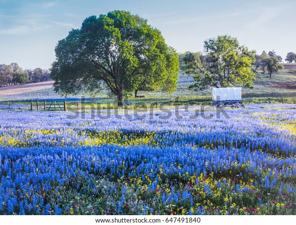 Texas Hill Country is a 25-county region of Central\
Texas and South Texas