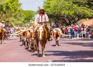 Texas, JUN 18 2022 - Sunny View Of The Cattle Drive Show