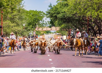 Texas, JUN 18 2022 - Sunny View Of The Cattle Drive Show