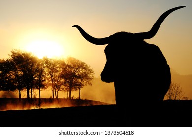 Texas Longhorn Cow Silhouette With Steam Off Pond, Landscape In Background.