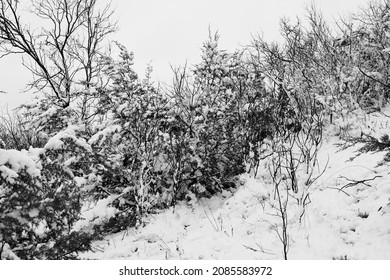 Texas Snow On Hillside Of Landscape During Winter Season.