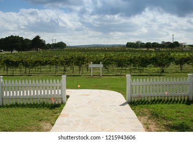 Texas Wine Country Vinyard 