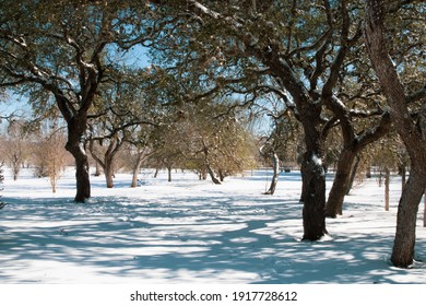 Texas Winter Landscape With Snow And Trees