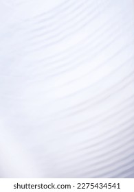 Text in book blur texture. Undefined text texture blur background.