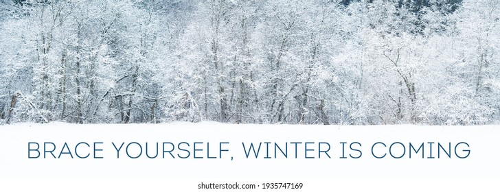 Text Brace Yourself Winter Coming Winter Stock Photo (Edit Now ...