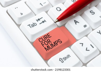 Text Caption Presenting Cure For Mumps. Internet Concept Medical Treatment For Contagious Infectious Disease Two Colleagues Standing Discussing New Ideas With Big Speech Bubble