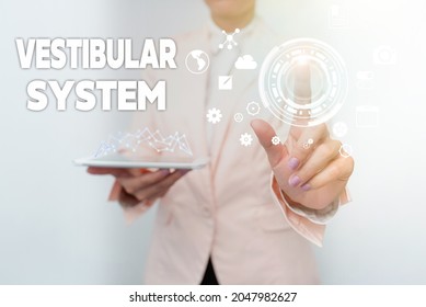 Text caption presenting Vestibular System. Business approach provides the leading contribution to the sense of balance Business Woman Touching Digital Data On Holographic Screen Interface.