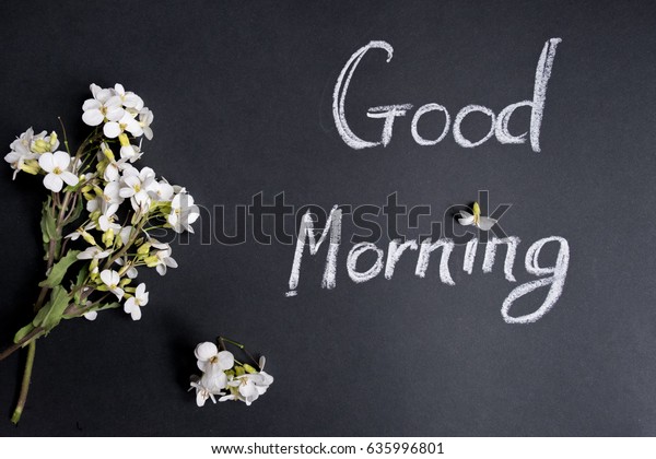 Text Good Morning White Flowers On Stock Photo Edit Now 635996801