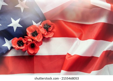 830 Poppies at celebrations in america Images, Stock Photos & Vectors ...