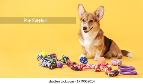 Text "Pet supplies" and cute dog with toys on color background