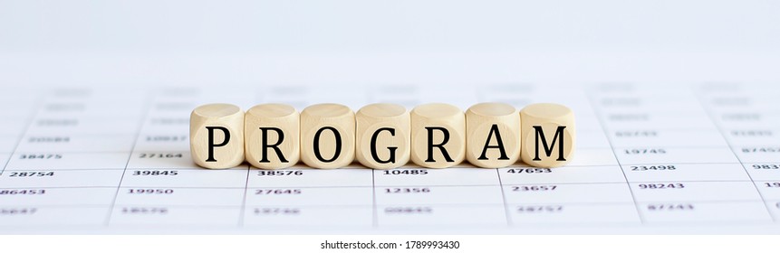 Text PROGRAM on a wooden cube blocks. Business concept
