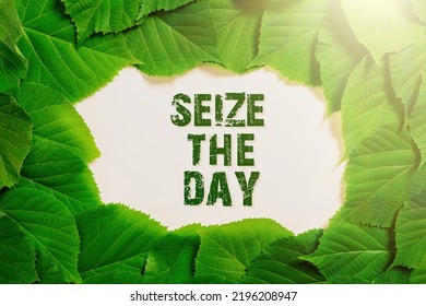 2,314 Seize the day Images, Stock Photos & Vectors | Shutterstock
