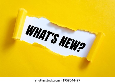 Text sign showing What's New? - Shutterstock ID 1959044497