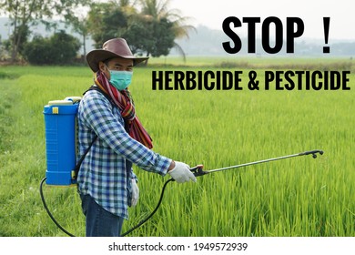 Text Stop Herbicide Pesticide On Photo Stock Photo 1949572939 ...