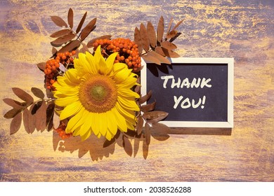 791 Sunflowers and thank you Images, Stock Photos & Vectors | Shutterstock