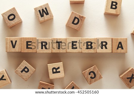 text of VERTEBRA on cubes
