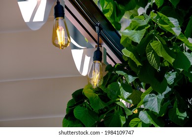 Textile Awning In The Backyard Gazebo With A Garland Of Strings Of Retro Edison Lamps Lighting Glowing With Warm Light In Green Leaves Of Tree Closeup, Nobody.