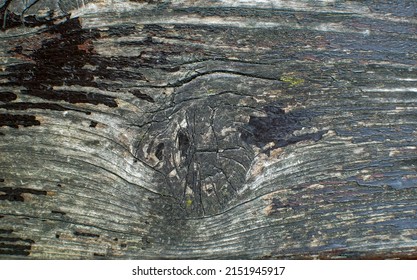 textura of an old, weather-damaged plank with paint remnants