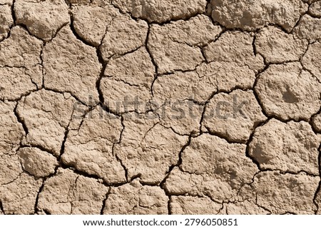 Textural Pattern of Parched Cracked Clay Earth