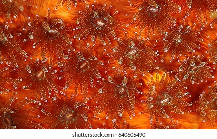 Texture