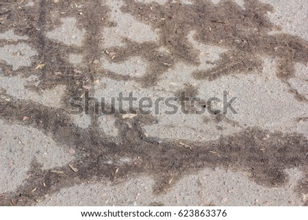 texture 