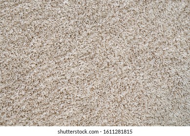 Texture. Abstract background. Fleecy cover of the carpet.