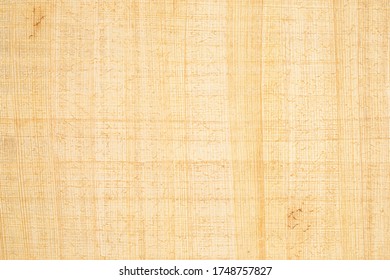Texture of ancient Egyptian papyrus as a background