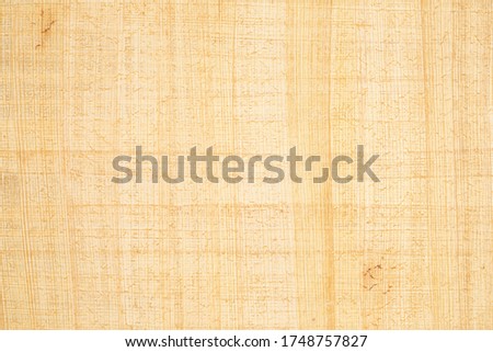 Texture of ancient Egyptian papyrus as a background