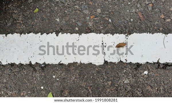 Texture of asphalt road with white line background,\
pattern of white cracked painted road line with some tree leaves\
on