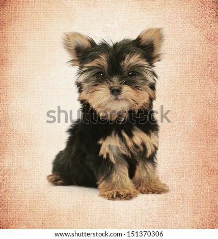 Texture and background