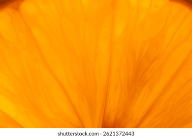 Texture, Background, Backdrop, Macro Orange Fruit Flesh, abstract macro photography orange fruit closeup background, citrus fruit texture