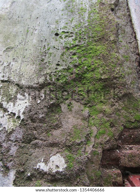 Texture Background Brick Wall Grunge Moss Stock Photo Edit Now 1354406666