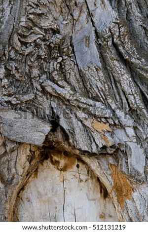 Similar – Foto Bild Kunstvoll altern Holz