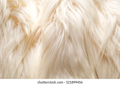 Texture Background Pattern Fur White Yak Stock Photo 521899456 ...