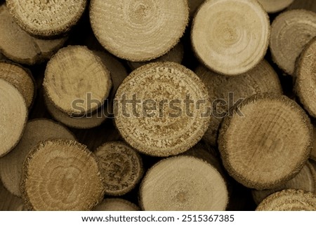 Texture background from slices of a tree branch. Macro. Round longitudinal wooden sections close-up.