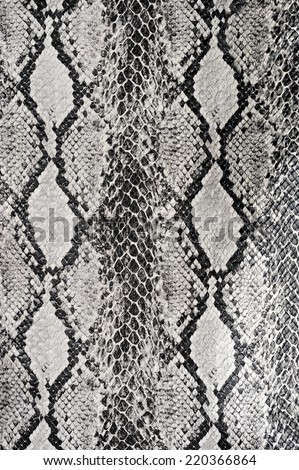 texture background snake leather 